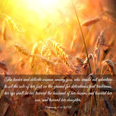 Picture 03 - Deuteronomy 28:56 WEB - The tender and delicate woman among you, who - Bible Verse Picture