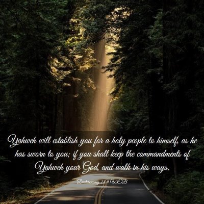 Picture 03 - Deuteronomy 28:9 WEB - Yahweh will establish you for a holy people to - Bible Verse Picture