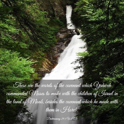 Picture 03 - Deuteronomy 29:1 WEB - These are the words of the covenant which Yahweh - Bible Verse Picture