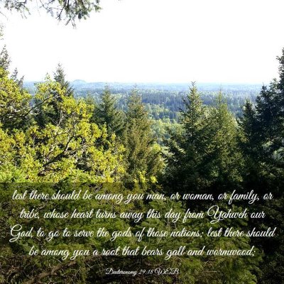 Picture 03 - Deuteronomy 29:18 WEB - lest there should be among you man, or woman, or - Bible Verse Picture