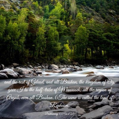 Picture 03 - Deuteronomy 3:13 WEB - and the rest of Gilead, and all Bashan, the - Bible Verse Picture