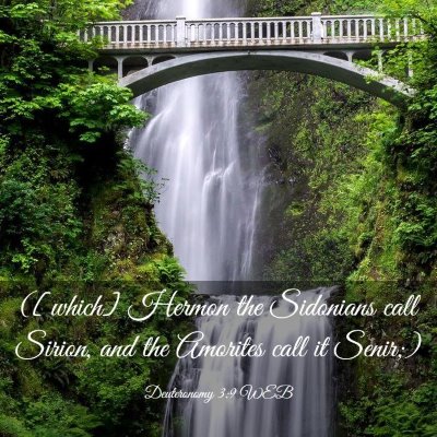 Picture 03 - Deuteronomy 3:9 WEB - ([which] Hermon the Sidonians call Sirion, and - Bible Verse Picture