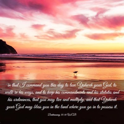 Picture 03 - Deuteronomy 30:16 WEB - in that I command you this day to love Yahweh - Bible Verse Picture