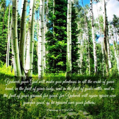 Picture 03 - Deuteronomy 30:9 WEB - Yahweh your God will make you plenteous in all - Bible Verse Picture