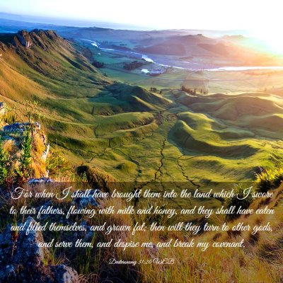 Picture 03 - Deuteronomy 31:20 WEB - For when I shall have brought them into the land - Bible Verse Picture