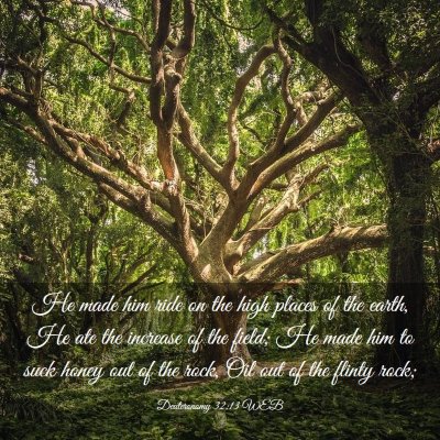 Picture 03 - Deuteronomy 32:13 WEB - He made him ride on the high places of the earth, - Bible Verse Picture