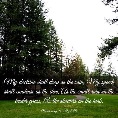 Picture 03 - Deuteronomy 32:2 WEB - My doctrine shall drop as the rain; My speech - Bible Verse Picture