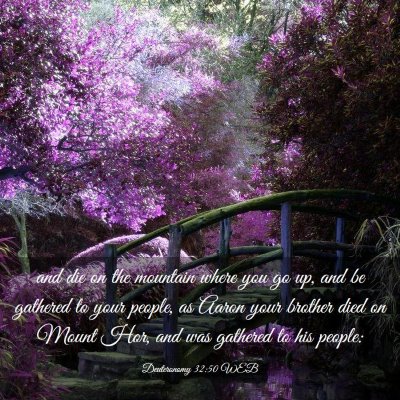 Picture 03 - Deuteronomy 32:50 WEB - and die on the mountain where you go up, and be - Bible Verse Picture