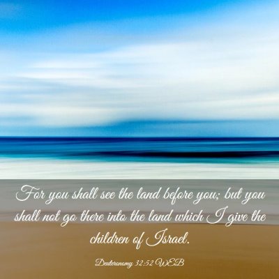 Picture 03 - Deuteronomy 32:52 WEB - For you shall see the land before you; but you - Bible Verse Picture