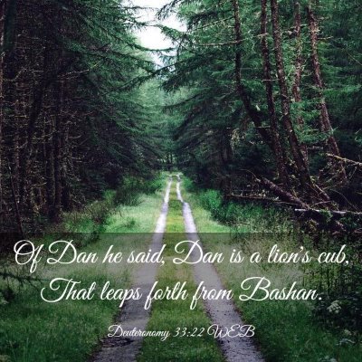 Picture 03 - Deuteronomy 33:22 WEB - Of Dan he said, Dan is a lion's cub, That leaps - Bible Verse Picture