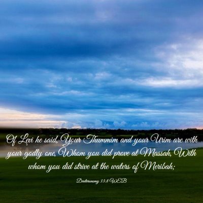 Picture 03 - Deuteronomy 33:8 WEB - Of Levi he said, Your Thummim and your Urim are - Bible Verse Picture