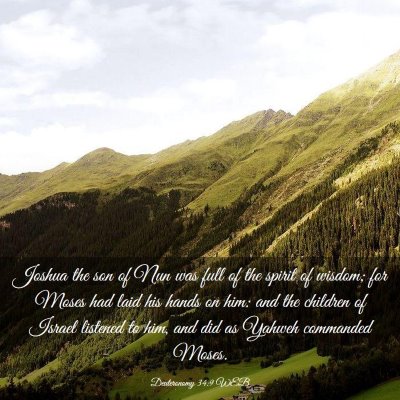Picture 03 - Deuteronomy 34:9 WEB - Joshua the son of Nun was full of the spirit of - Bible Verse Picture