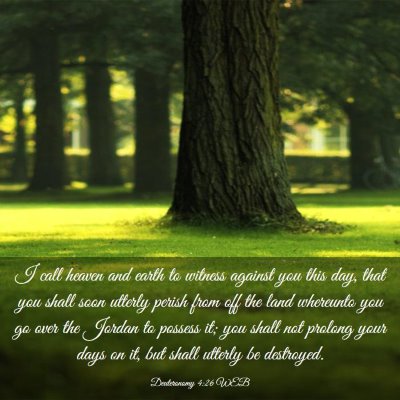 Picture 03 - Deuteronomy 4:26 WEB - I call heaven and earth to witness against you - Bible Verse Picture