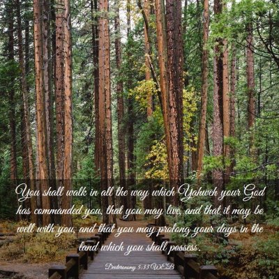 Picture 03 - Deuteronomy 5:33 WEB - You shall walk in all the way which Yahweh your - Bible Verse Picture