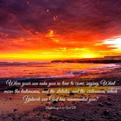 Picture 03 - Deuteronomy 6:20 WEB - When your son asks you in time to come, saying, - Bible Verse Picture