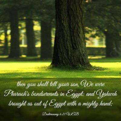 Picture 03 - Deuteronomy 6:21 WEB - then you shall tell your son, We were Pharaoh's - Bible Verse Picture