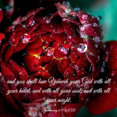 Picture 03 - Deuteronomy 6:5 WEB - and you shall love Yahweh your God with all your - Bible Verse Picture