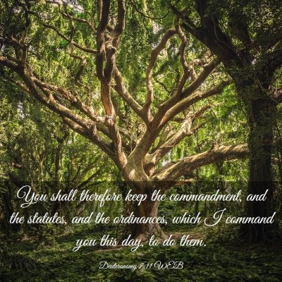 Picture 03 - Deuteronomy 7:11 WEB - You shall therefore keep the commandment, and the - Bible Verse Picture
