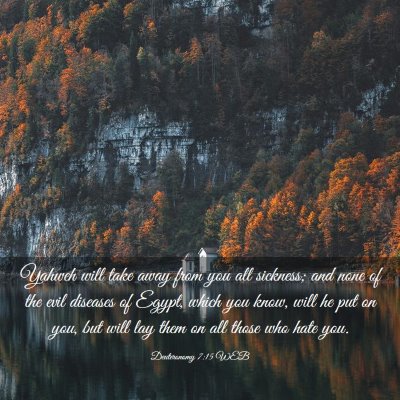 Picture 03 - Deuteronomy 7:15 WEB - Yahweh will take away from you all sickness; and - Bible Verse Picture