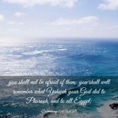 Picture 03 - Deuteronomy 7:18 WEB - you shall not be afraid of them: you shall well - Bible Verse Picture