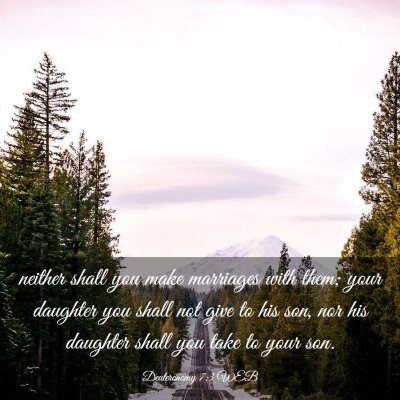 Picture 03 - Deuteronomy 7:3 WEB - neither shall you make marriages with them; your - Bible Verse Picture