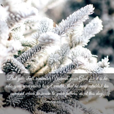 Picture 03 - Deuteronomy 8:18 WEB - But you shall remember Yahweh your God, for it is - Bible Verse Picture