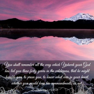 Picture 03 - Deuteronomy 8:2 WEB - You shall remember all the way which Yahweh your - Bible Verse Picture