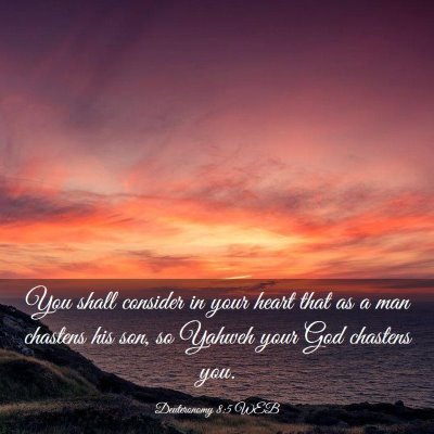 Picture 03 - Deuteronomy 8:5 WEB - You shall consider in your heart that as a man - Bible Verse Picture