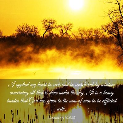 Picture 03 - Ecclesiastes 1:13 WEB - I applied my heart to seek and to search out by - Bible Verse Picture