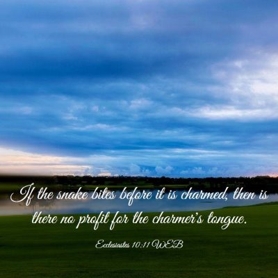 Picture 03 - Ecclesiastes 10:11 WEB - If the snake bites before it is charmed, then is - Bible Verse Picture