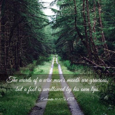 Picture 03 - Ecclesiastes 10:12 WEB - The words of a wise man's mouth are gracious; but - Bible Verse Picture