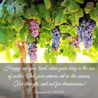 Picture 03 - Ecclesiastes 10:17 WEB - Happy are you, land, when your king is the son of - Bible Verse Picture