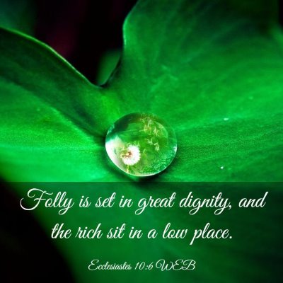 Picture 03 - Ecclesiastes 10:6 WEB - Folly is set in great dignity, and the rich sit - Bible Verse Picture
