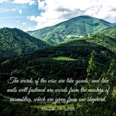 Picture 03 - Ecclesiastes 12:11 WEB - The words of the wise are like goads; and like - Bible Verse Picture