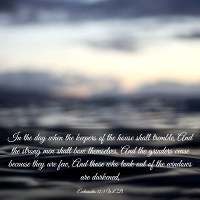 Picture 03 - Ecclesiastes 12:3 WEB - In the day when the keepers of the house shall - Bible Verse Picture