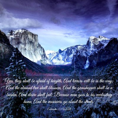 Picture 03 - Ecclesiastes 12:5 WEB - Yes, they shall be afraid of heights, And terrors - Bible Verse Picture