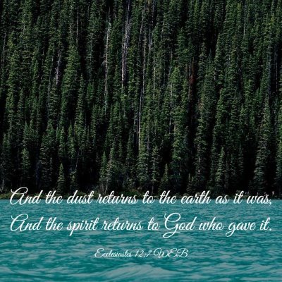 Picture 03 - Ecclesiastes 12:7 WEB - And the dust returns to the earth as it was, And - Bible Verse Picture