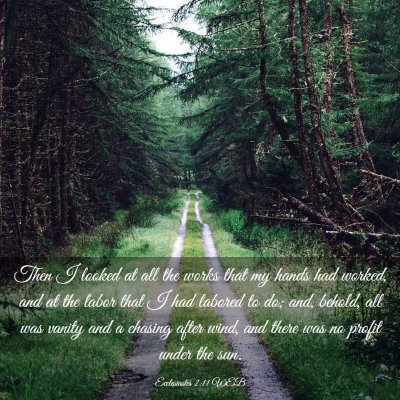 Picture 03 - Ecclesiastes 2:11 WEB - Then I looked at all the works that my hands had - Bible Verse Picture