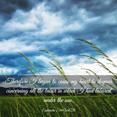 Picture 03 - Ecclesiastes 2:20 WEB - Therefore I began to cause my heart to despair - Bible Verse Picture