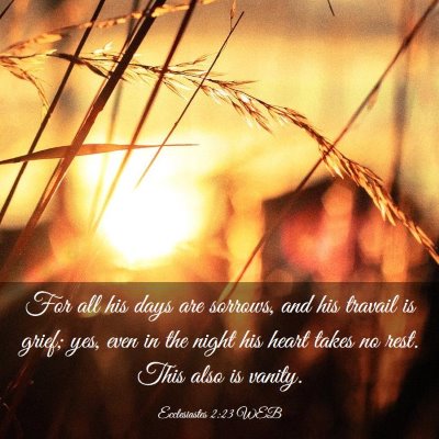 Picture 03 - Ecclesiastes 2:23 WEB - For all his days are sorrows, and his travail is - Bible Verse Picture
