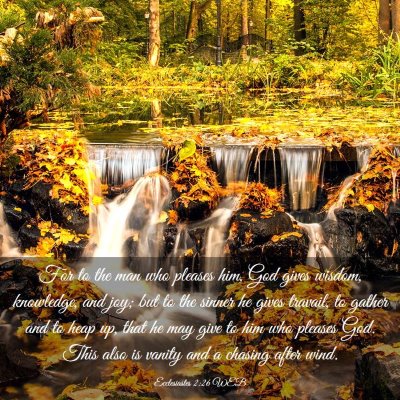 Picture 03 - Ecclesiastes 2:26 WEB - For to the man who pleases him, God gives wisdom, - Bible Verse Picture