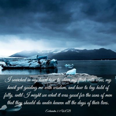 Picture 03 - Ecclesiastes 2:3 WEB - I searched in my heart how to cheer my flesh with - Bible Verse Picture