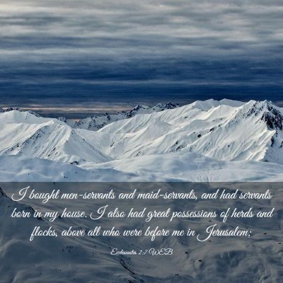 Picture 03 - Ecclesiastes 2:7 WEB - I bought men-servants and maid-servants, and had - Bible Verse Picture