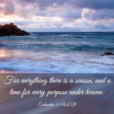 Picture 03 - Ecclesiastes 3:1 WEB - For everything there is a season, and a time for - Bible Verse Picture