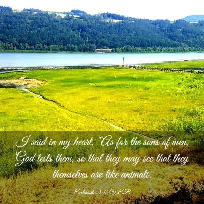 Picture 03 - Ecclesiastes 3:18 WEB - I said in my heart, 