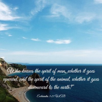 Picture 03 - Ecclesiastes 3:21 WEB - Who knows the spirit of man, whether it goes - Bible Verse Picture