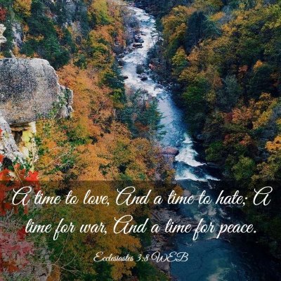 Picture 03 - Ecclesiastes 3:8 WEB - A time to love, And a time to hate; A time for - Bible Verse Picture