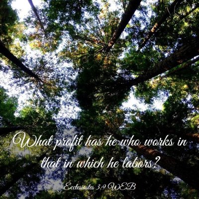 Picture 03 - Ecclesiastes 3:9 WEB - What profit has he who works in that in which he - Bible Verse Picture