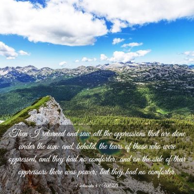 Picture 03 - Ecclesiastes 4:1 WEB - Then I returned and saw all the oppressions that - Bible Verse Picture