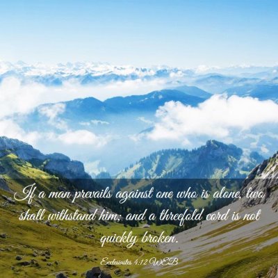 Picture 03 - Ecclesiastes 4:12 WEB - If a man prevails against one who is alone, two - Bible Verse Picture
